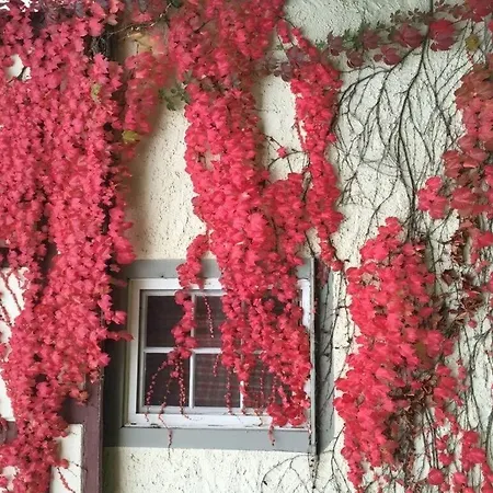 Gardener's House